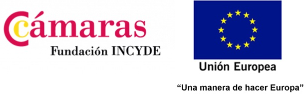 Logo INCYDE UE