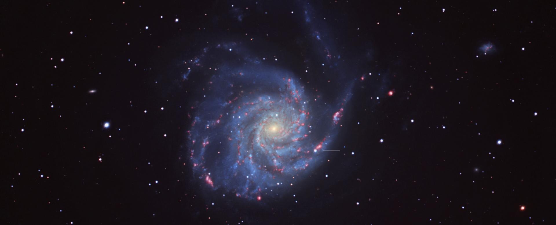 Image of galaxy M101 with supernova SN 2023ixf.