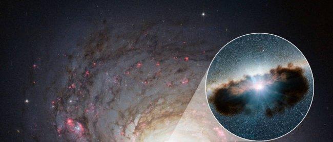 El material que oscurece los agujeros negros supermasivos, la conexión con sus galaxias anfitrionas