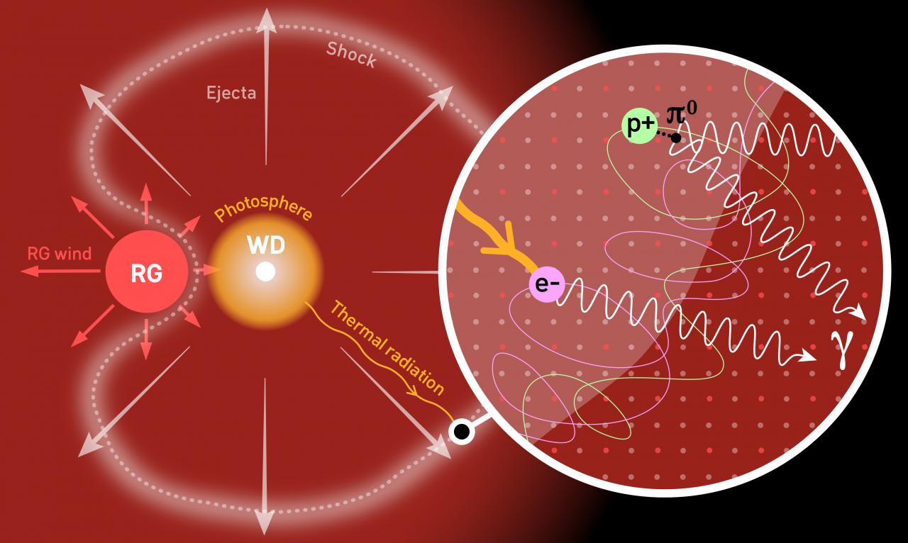 Scheme of RS Ophiuchi. Matter from the red giant and captured by the white dwarf generates a thermonuclear explosion on the surface of the latter. The ejected material creates a shock wave where particles are accelerated that produce the gamma radiation. Credit G. Pérez-IAC