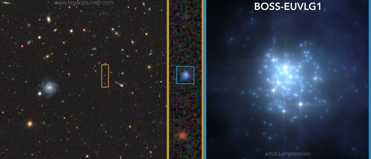 Izquierda y centro: Imagen de la región del cielo donde se encuentra BOSS-EUVLG1, que destaca por su color azul. Crédito: DESI Legacy Imaging Surveys. Derecha: Representación artística del brote de formación estelar en BOSS-EUVLG1, que contiene una gran cantidad de estrellas jóvenes y masivas y sin apenas polvo. Crédito: Gabriel Pérez Díaz, SMM (IAC).
