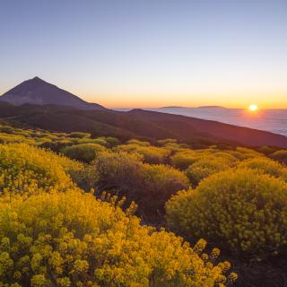 Observatorio del Teide, en Tenerife Observatorio del Teide, en Tenerife