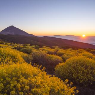 Observatorio del Teide, en Tenerife