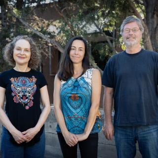 El programa Investigadores Visitantes Fundación Occident/ Inés Bonet (IAC)